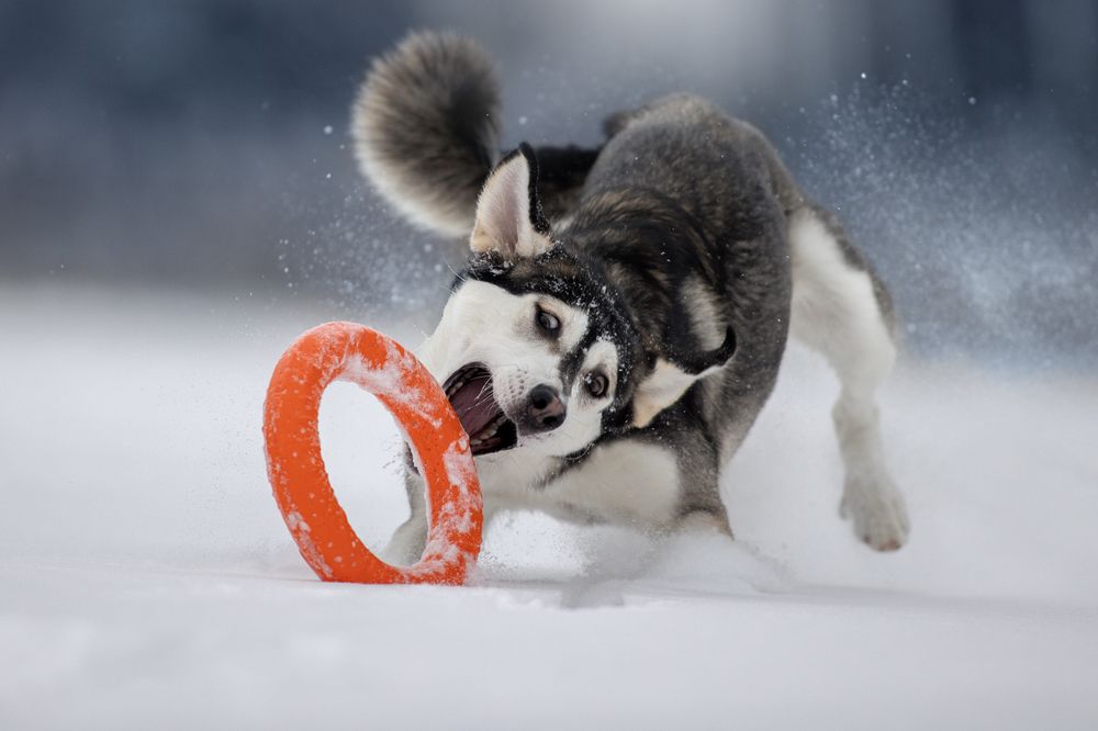 Photograph by Светлана Писарева