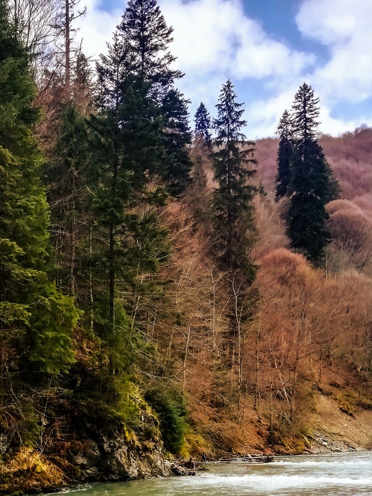 Photograph by Veaceslav Cornei