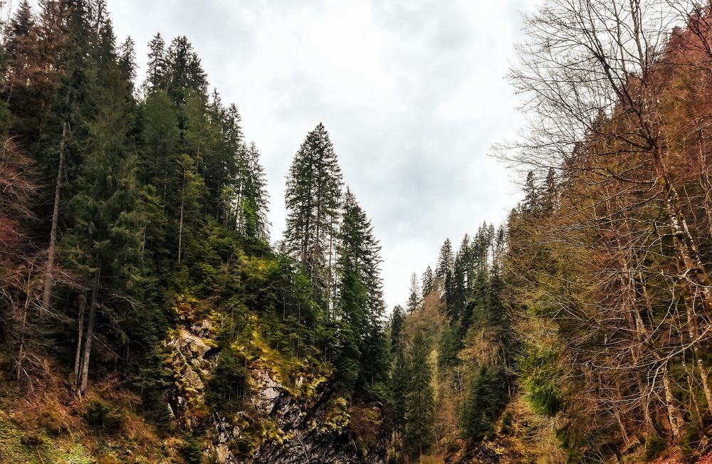 Photograph by Veaceslav Cornei