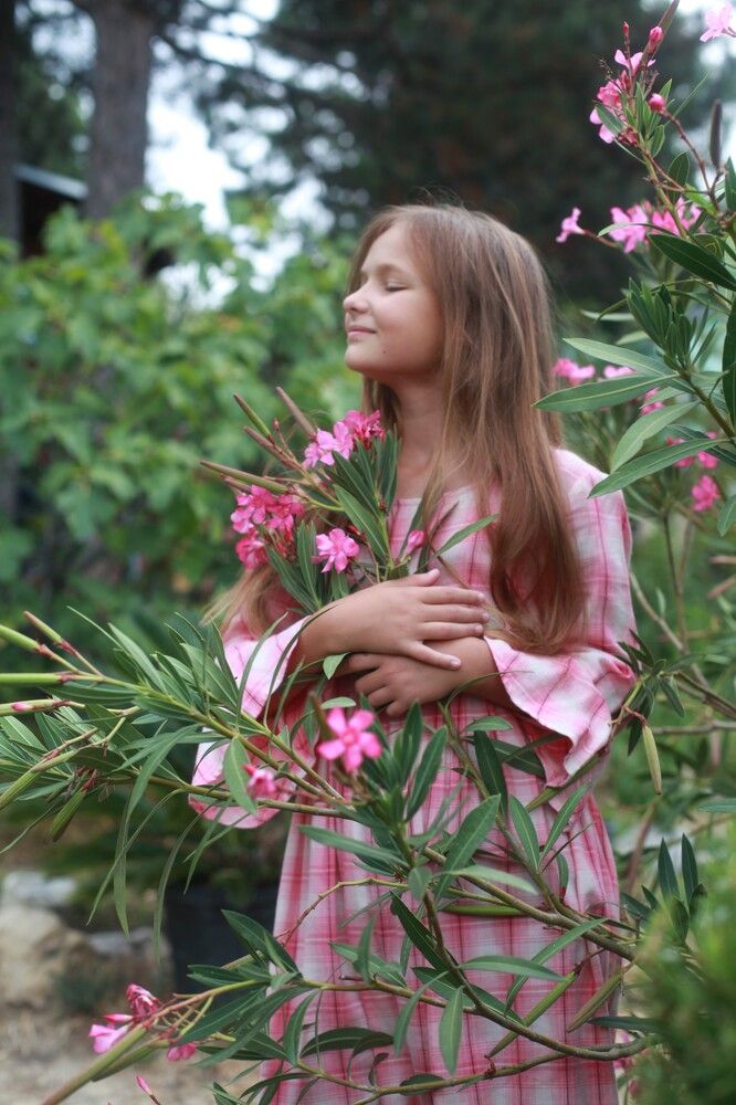 Фотография автора Волк и а