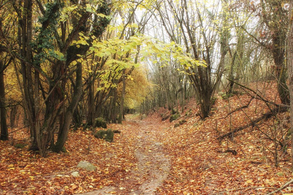 Фотография автора Марина Иванова