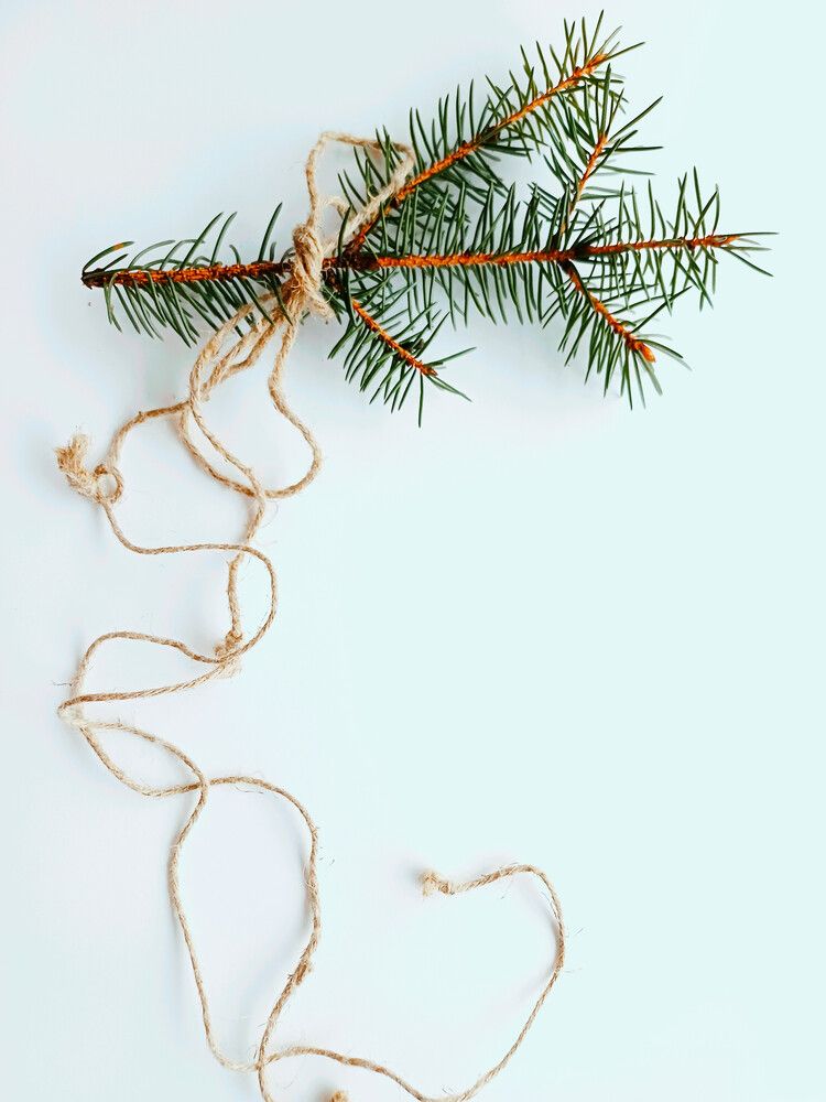 Photograph by Anna Grinkevich