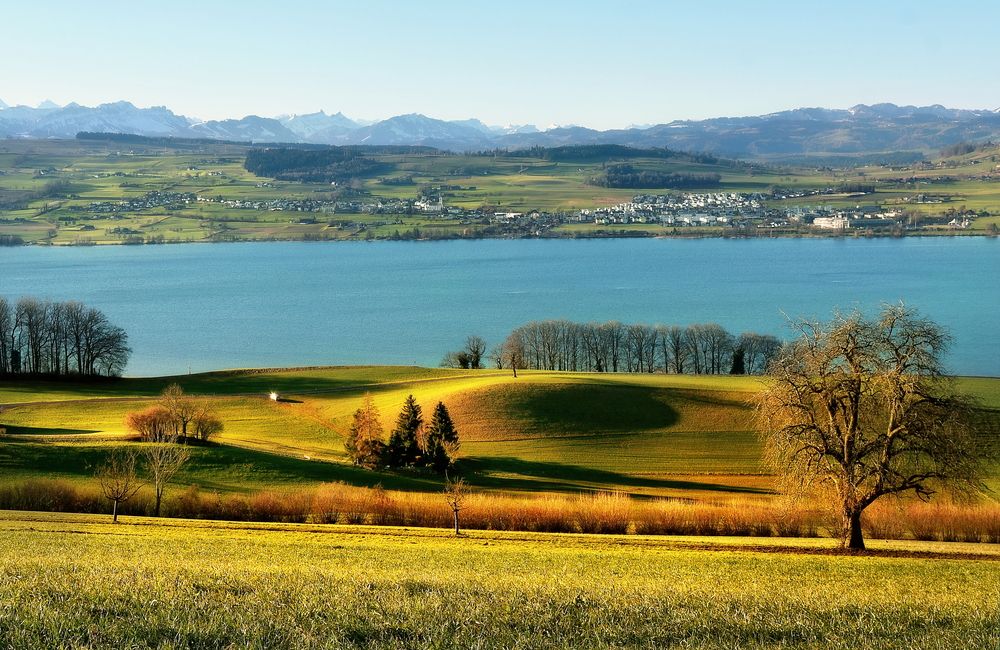 Photograph by Wymann Elena