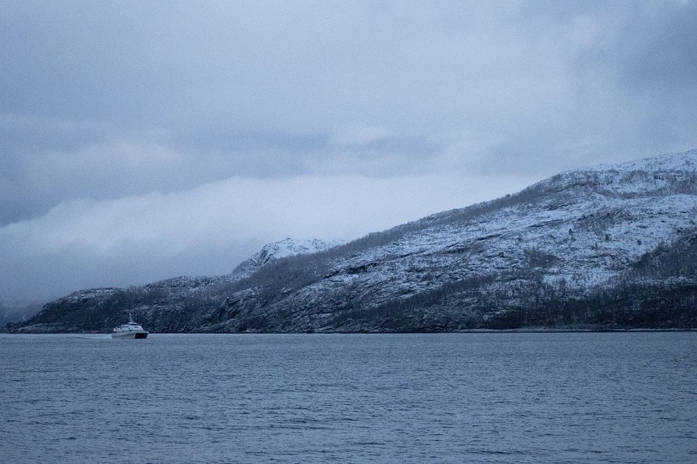 Norwegian monochromy