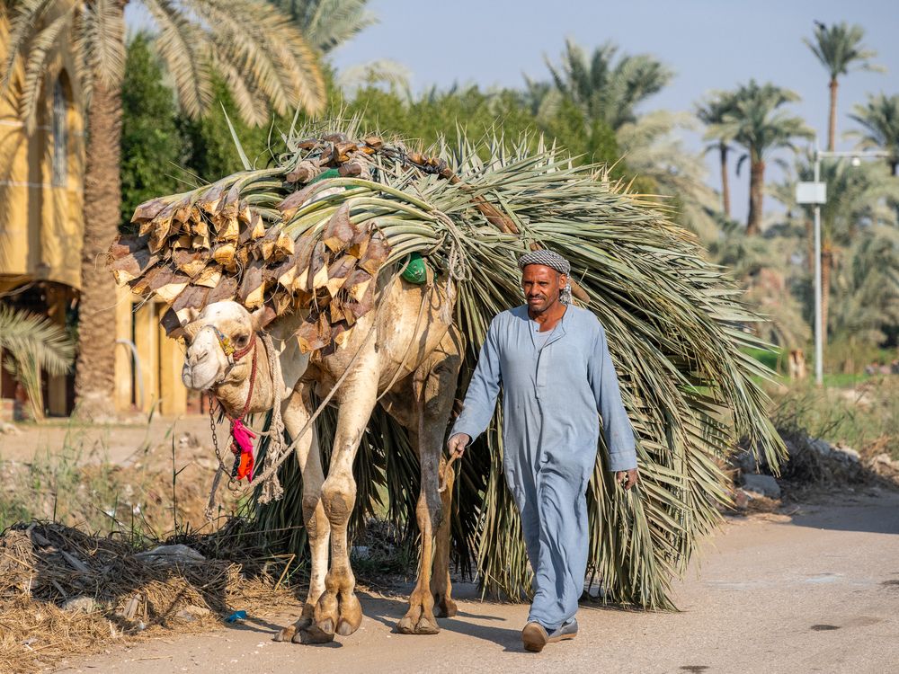 Весело шагать...