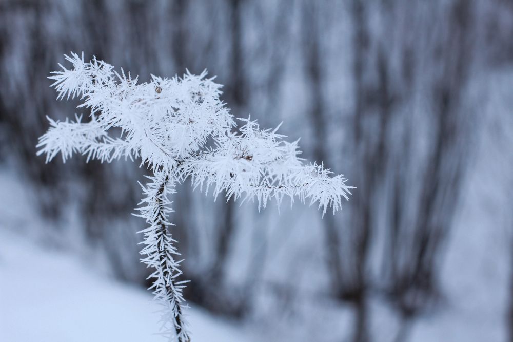 Photograph by Елена Карпухно