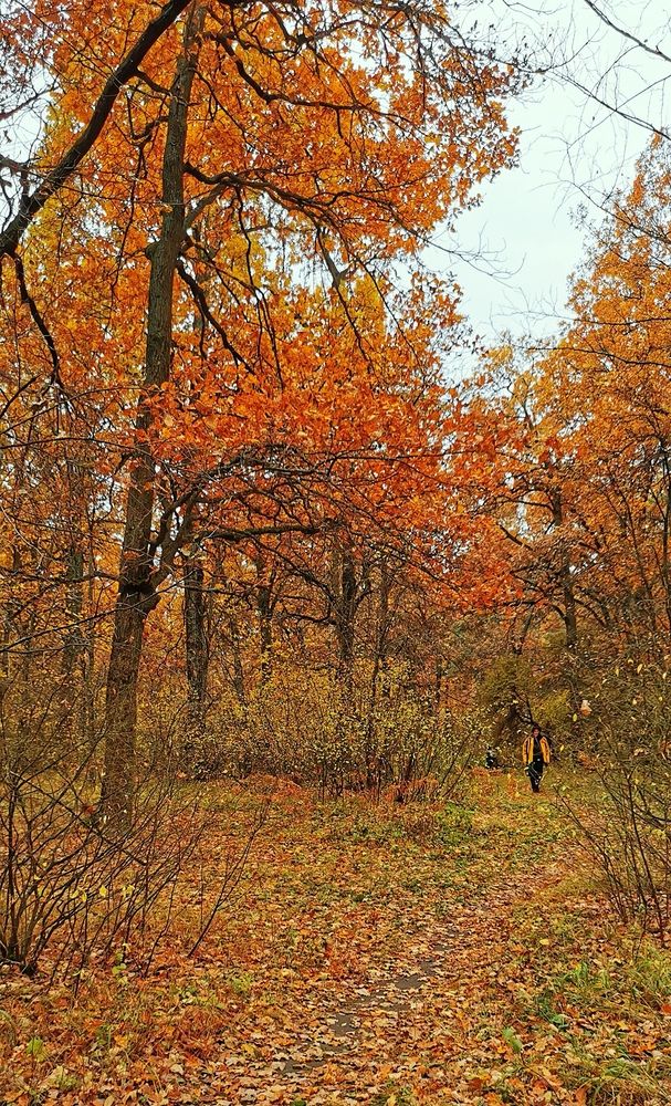 Photograph by Любовь Колмакова