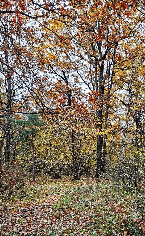 Photograph by Любовь Колмакова