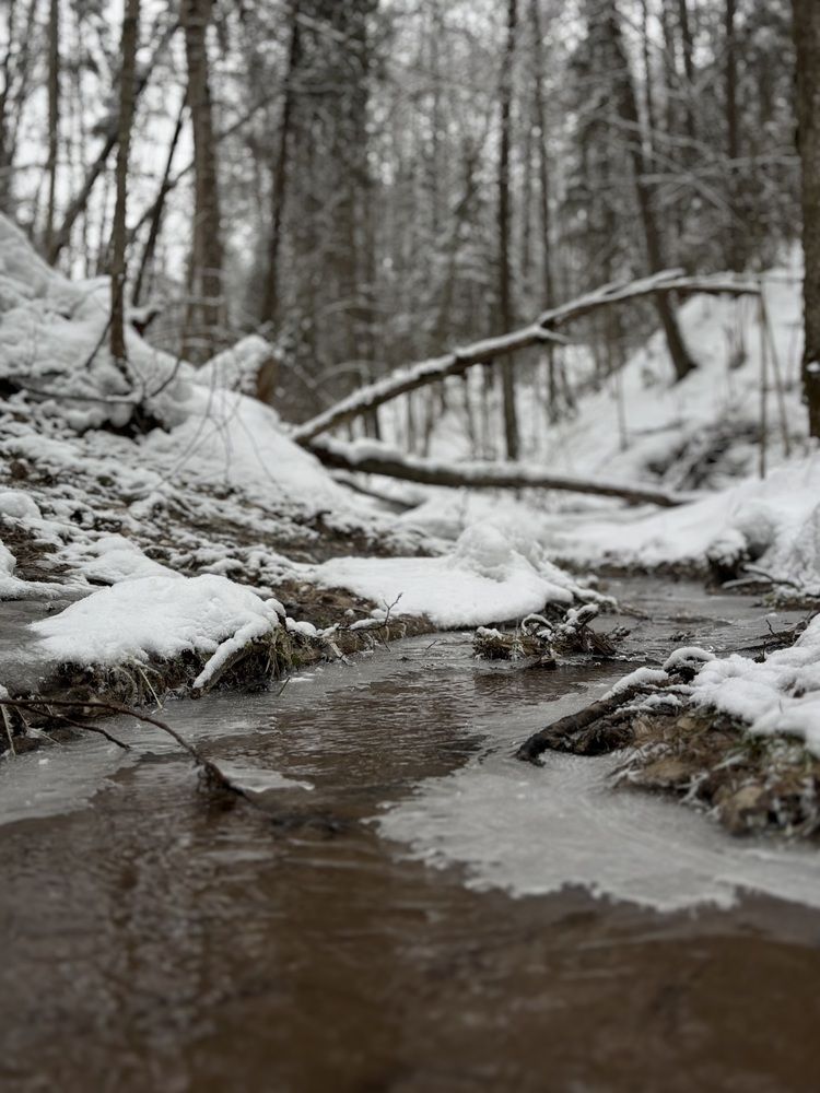 Photograph by Александра Зайниева