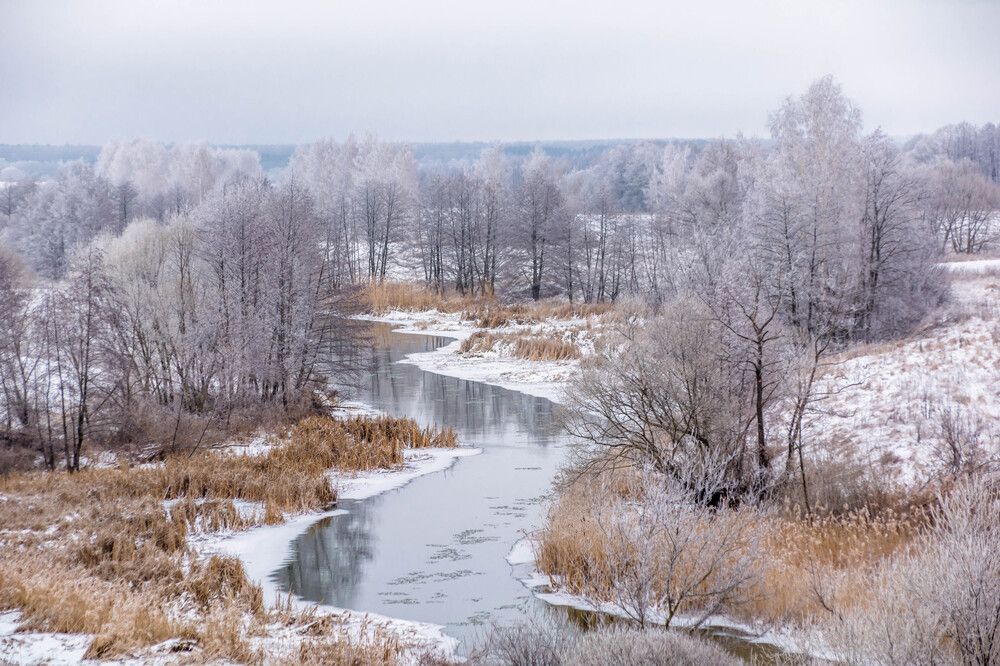 Photograph by Людмила Прибылова
