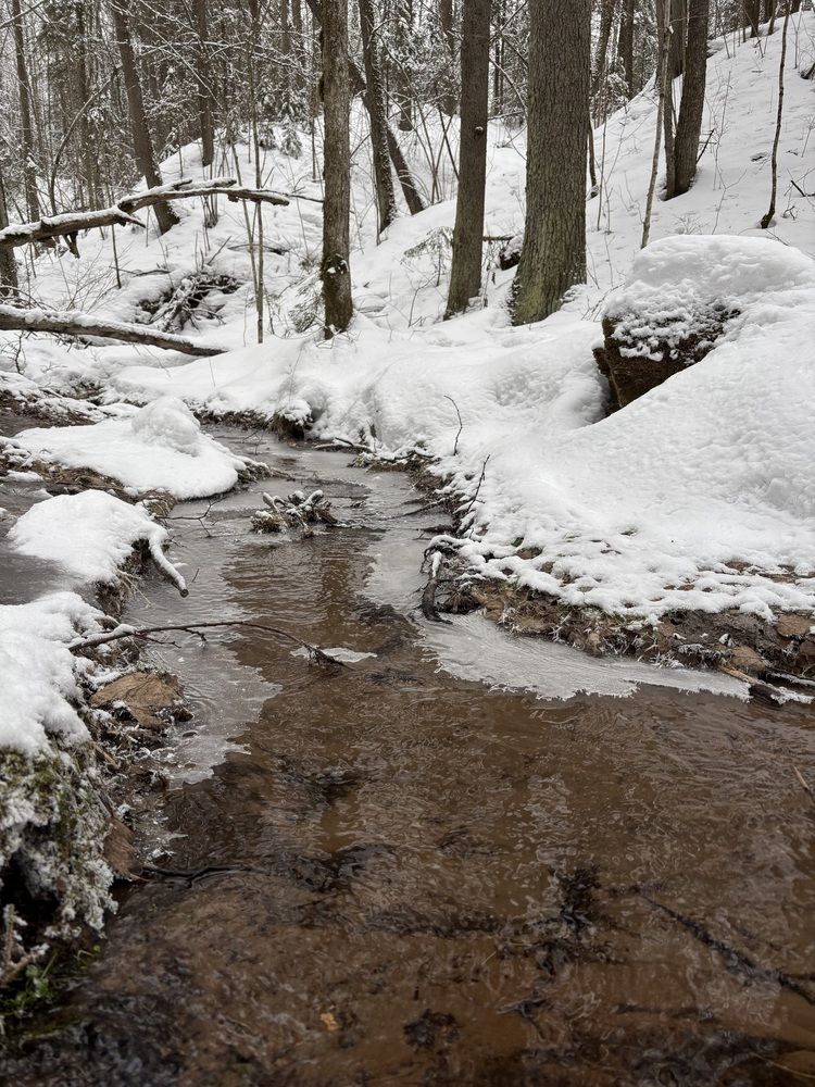 Photograph by Александра Зайниева