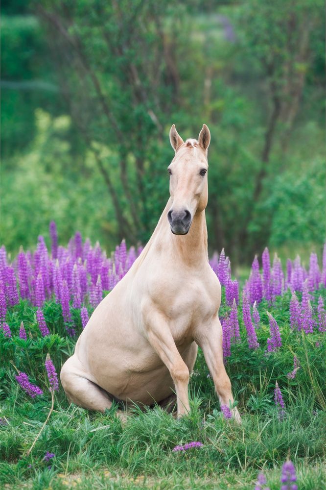 Photograph by Полина Фрольцова