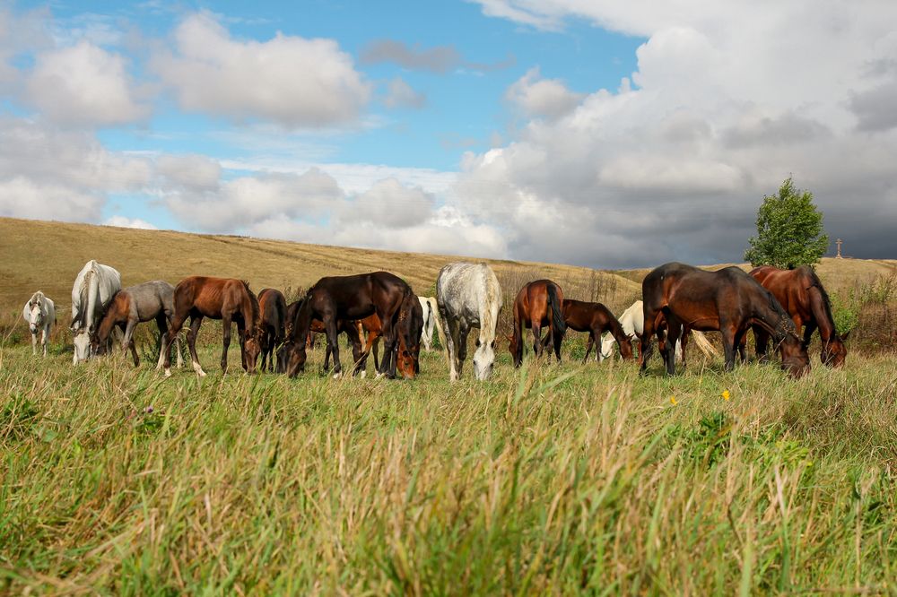 Последний летний день