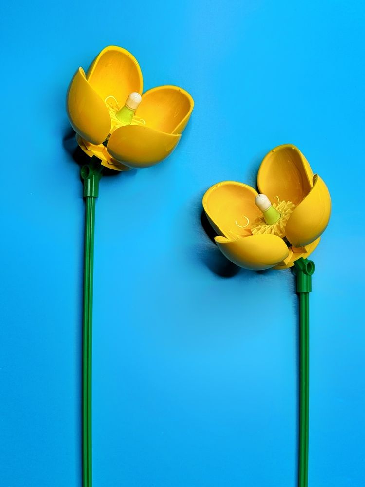 Фотография автора Юлия