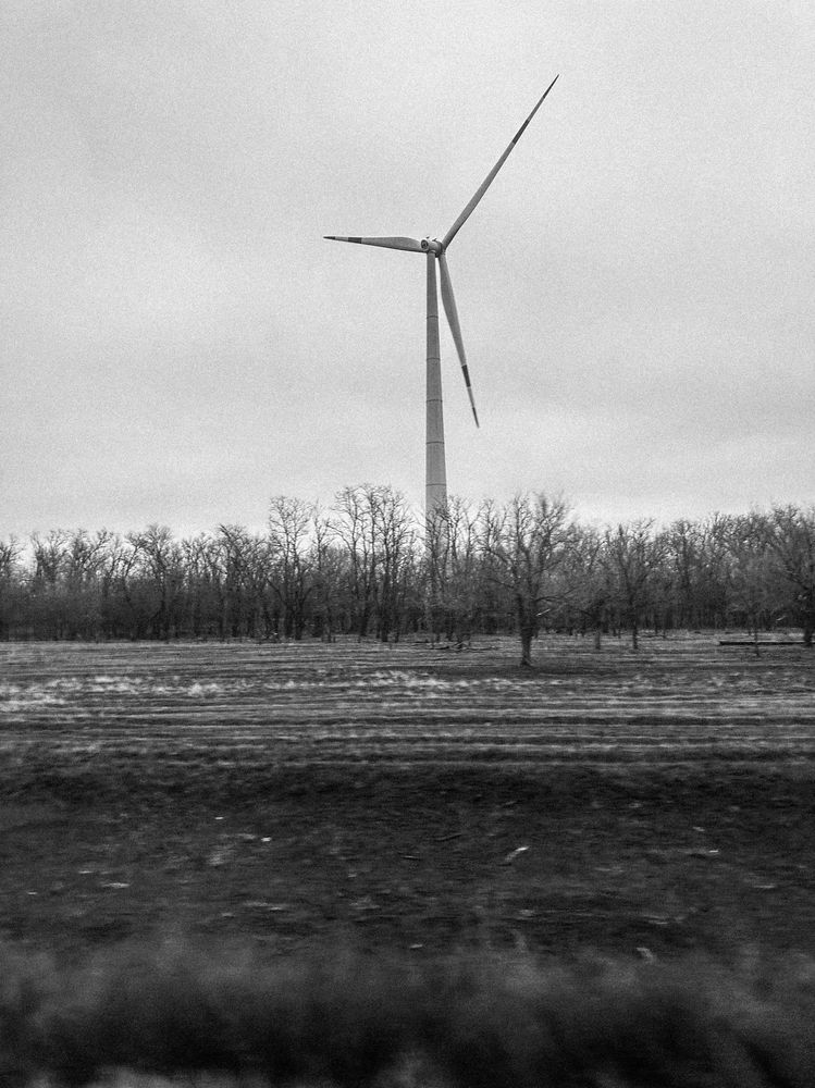 Photograph by Анна Петриенко