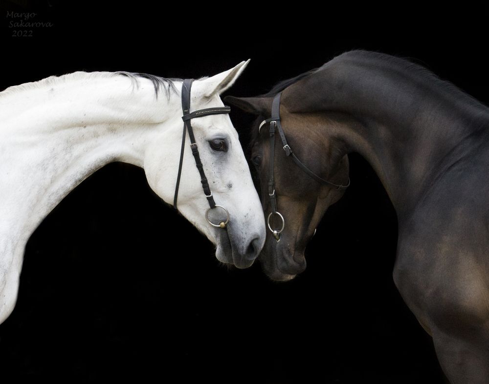 Фотография автора Маргарита