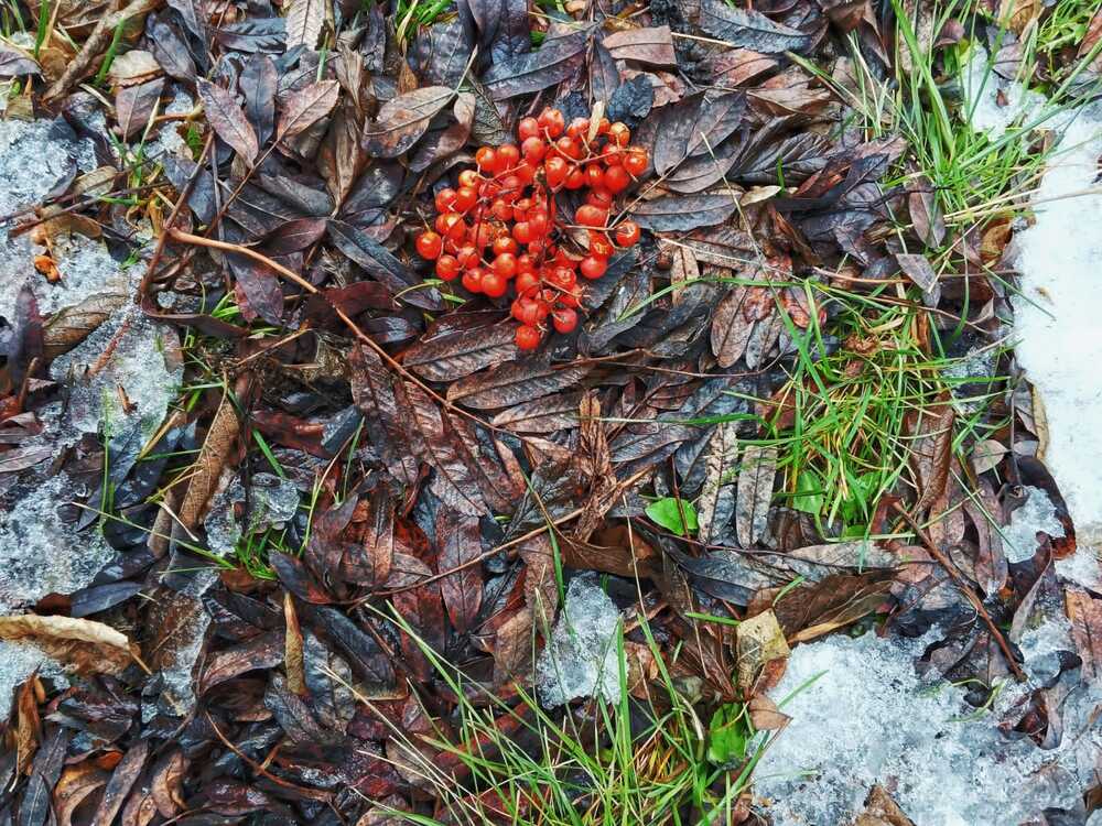 Photograph by Ирина Барышева