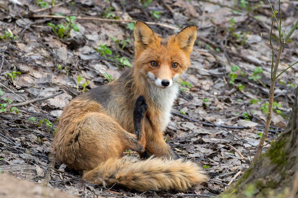 Photograph by Вера Машина