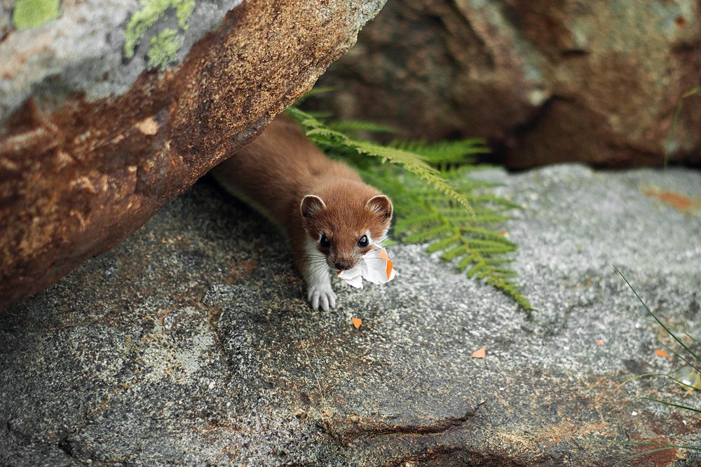 Photograph by Станислава Войцеховская