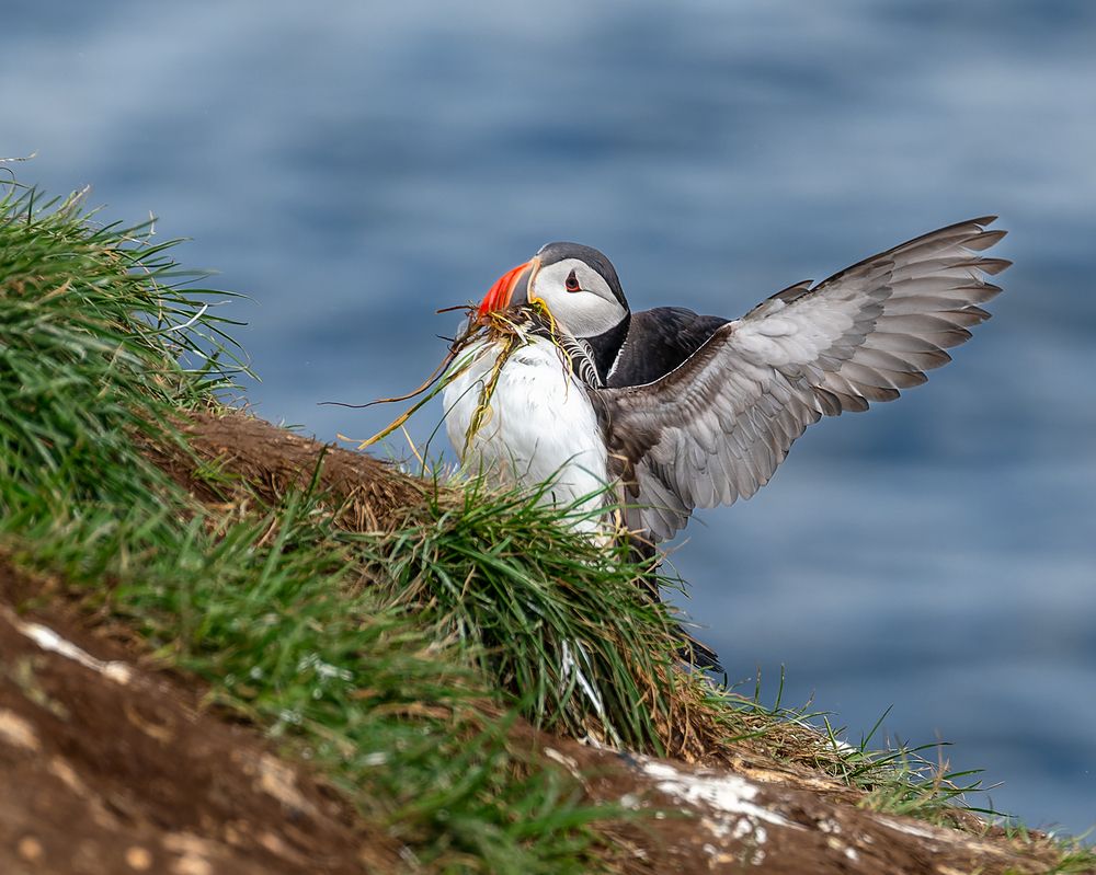 Photograph by Piotr Mickevic