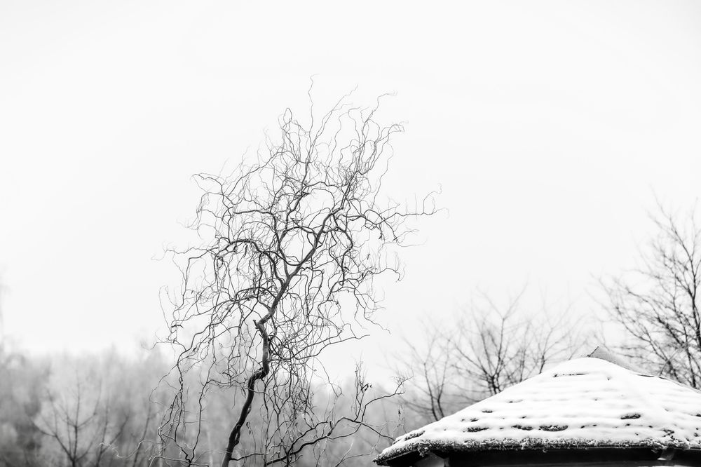 Photograph by Natalya Shapieva