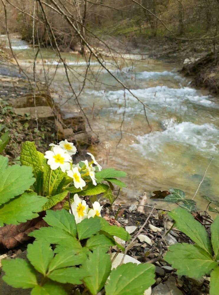 Photograph by Анастасия Кузьменко