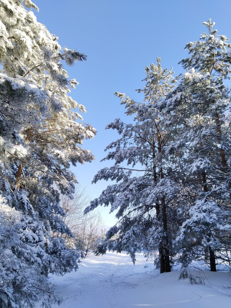 Photograph by Ольга Чернова