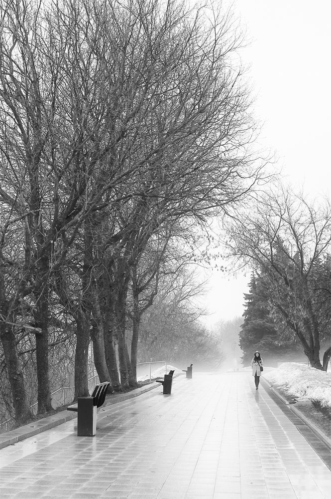 Photograph by Владимир