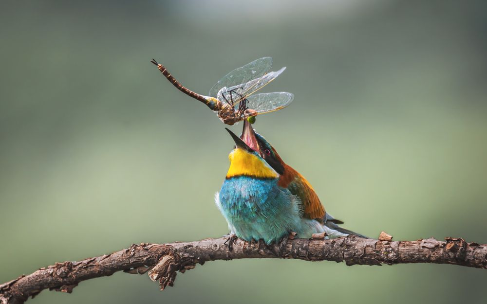 Photograph by Круль Александр