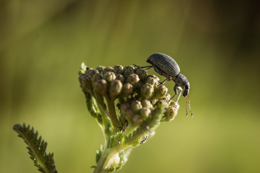 Photograph by Jana Špániková