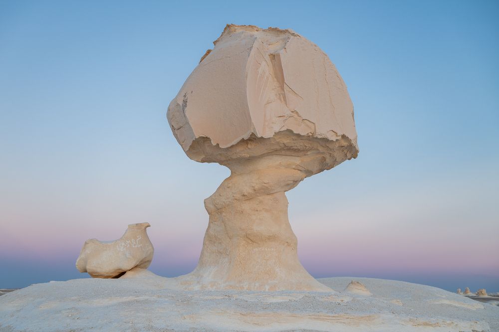 Курица и гриб