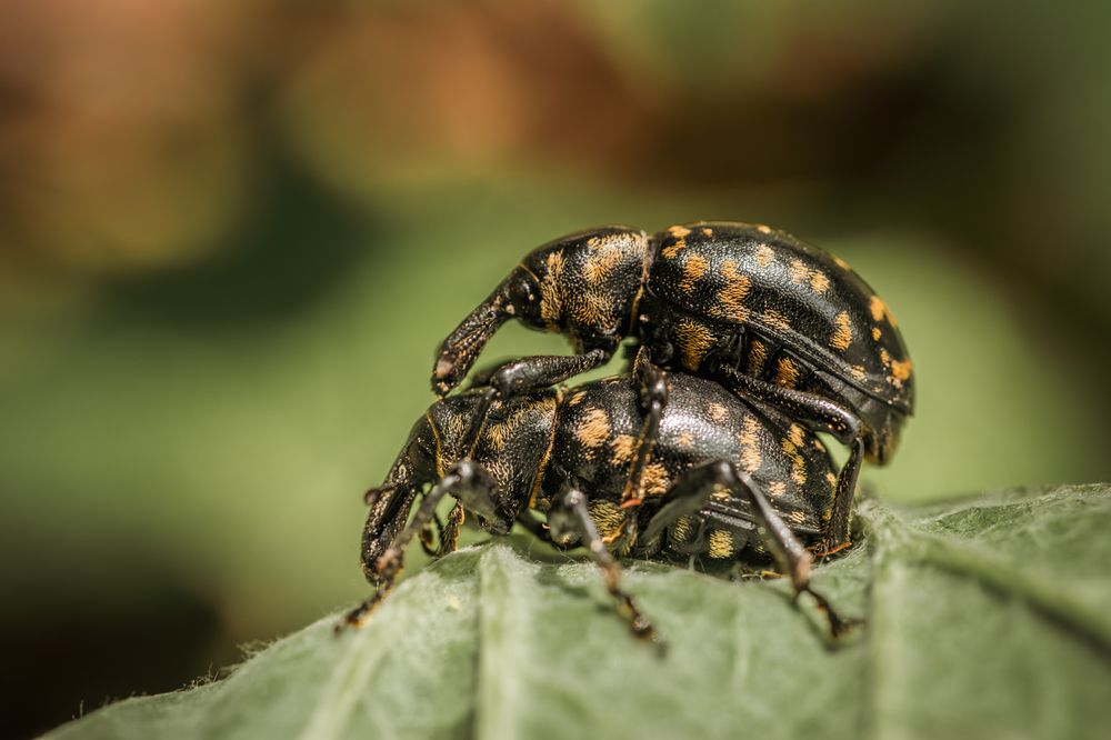 Photograph by Jana Špániková