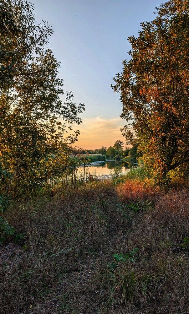 Photograph by Любовь Колмакова