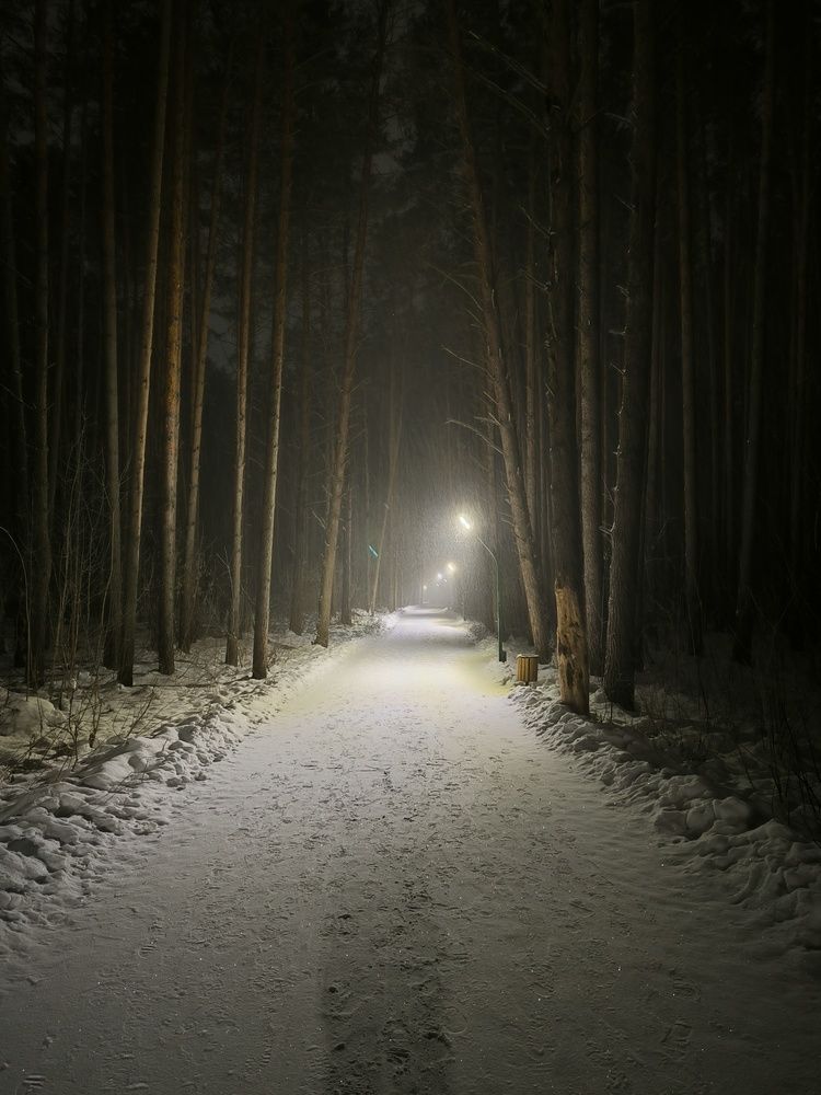 Photograph by Денис Хасанов