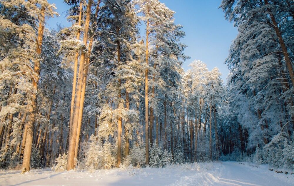 Photograph by Игорь Тюменцев