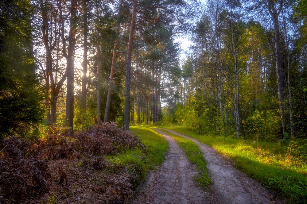 Photograph by Владимир