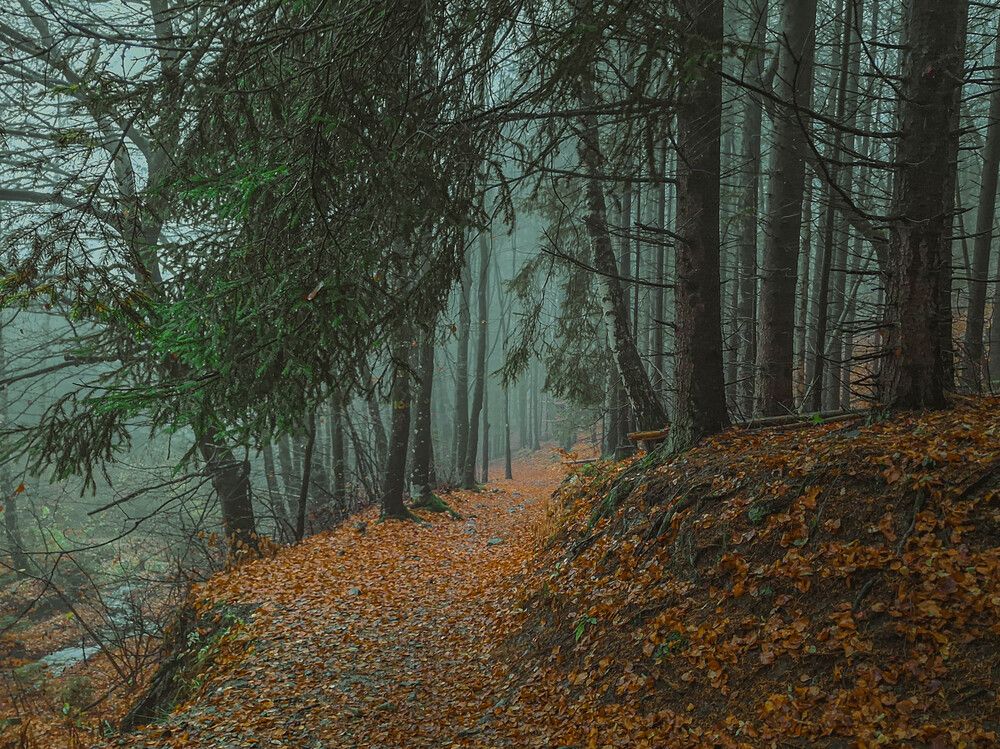 Photograph by Николов Андриян