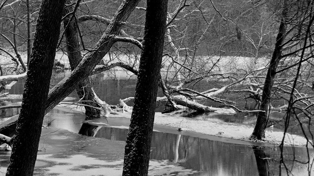 Photograph by Владимир Лобанов