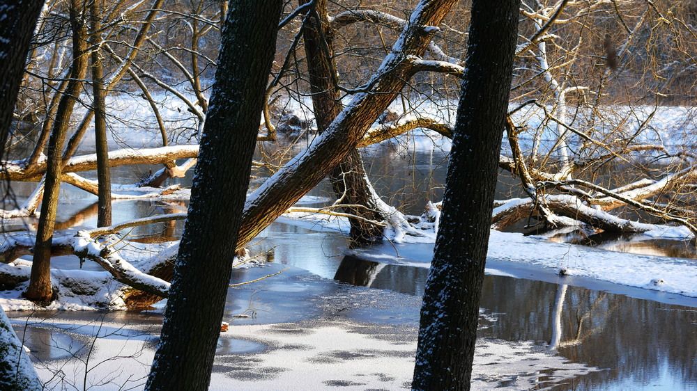 Photograph by Владимир Лобанов