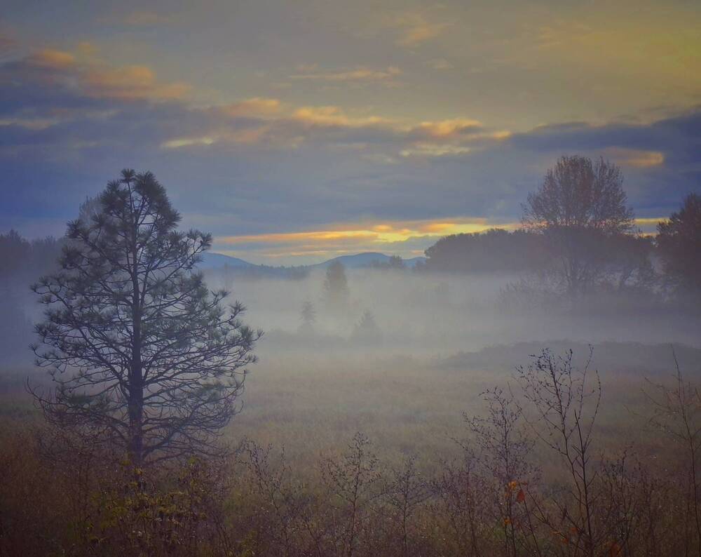 Photograph by Гаврил Павлов