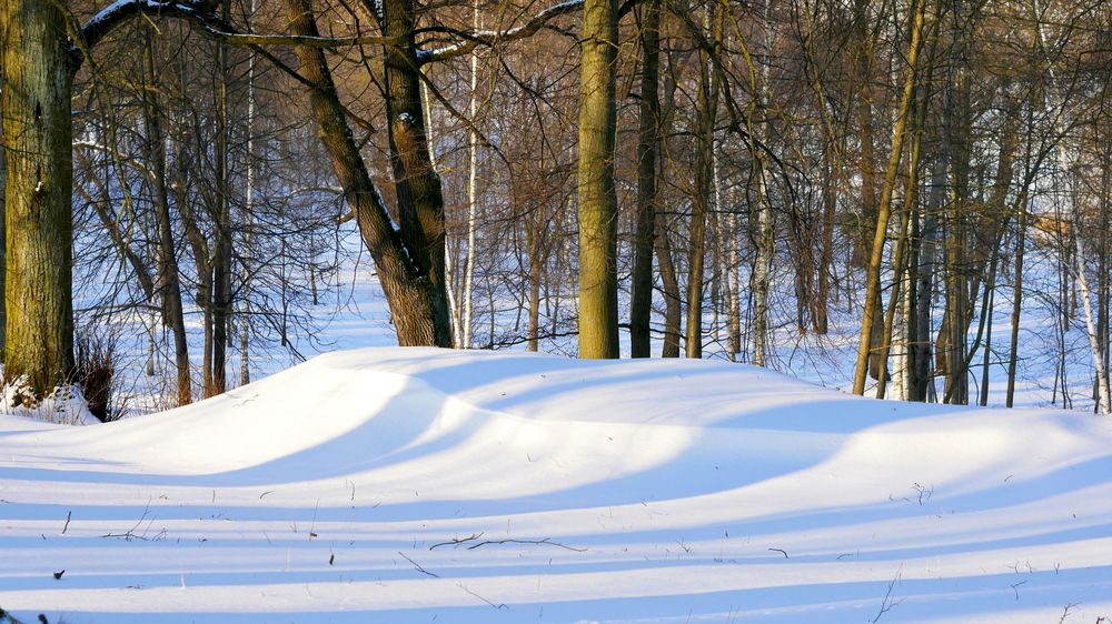 Photograph by Владимир Лобанов