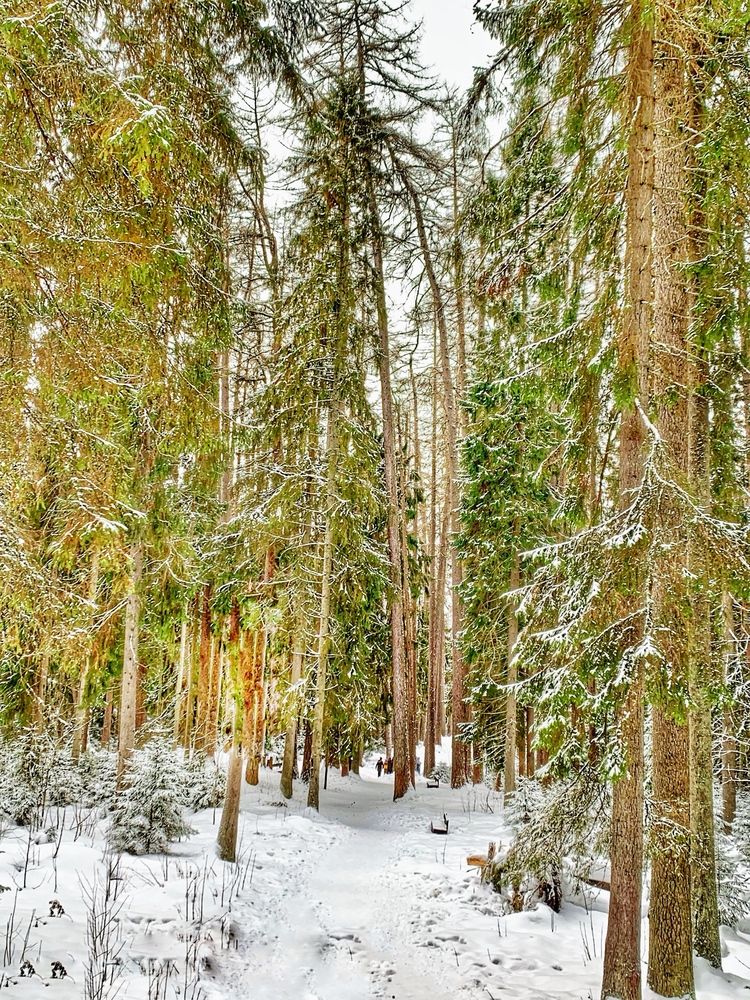 Photograph by Титаренко Людмила