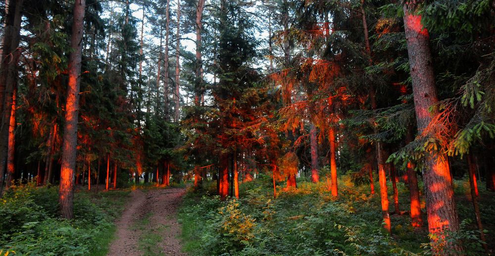 Photograph by Владимир Безбородов