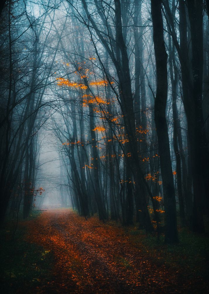 Photograph by  Владимир