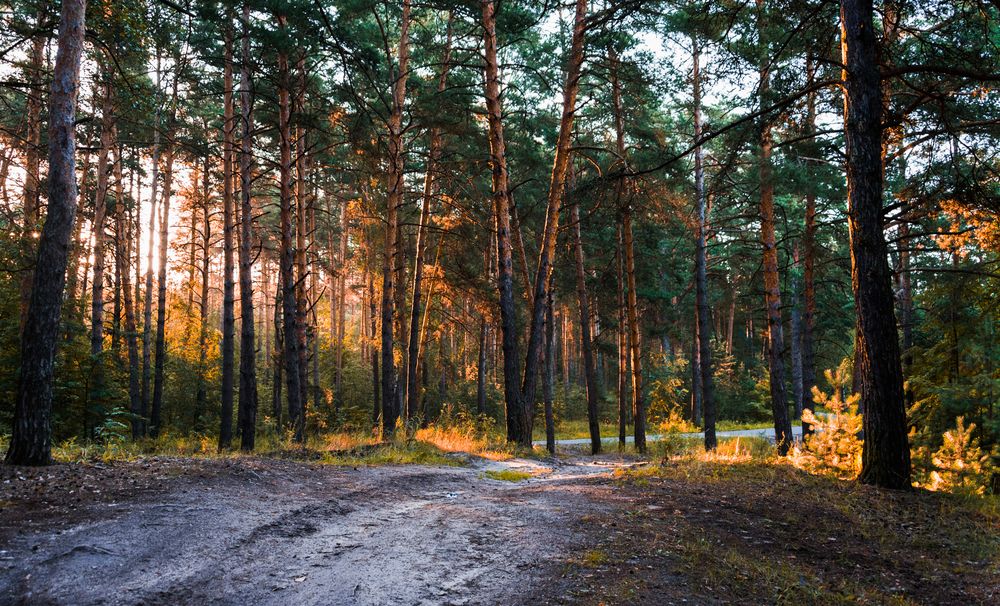 Photograph by Владимир Безбородов