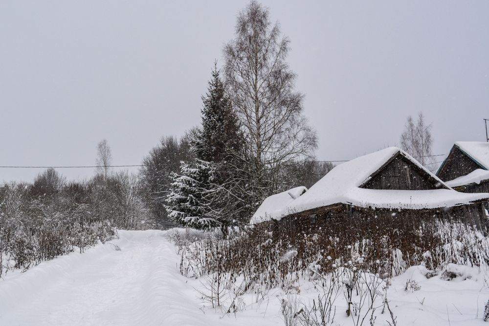 Photograph by Анастасия Гурова
