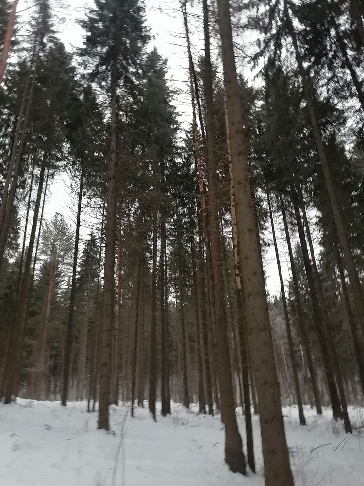 Фотография автора Хусаинова Марина