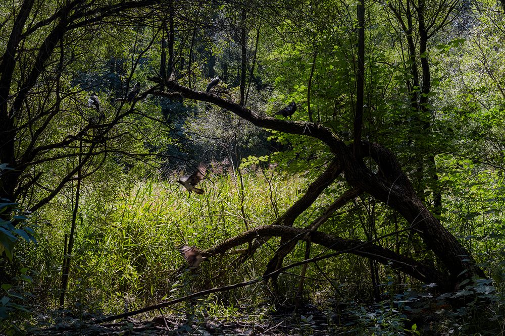 Photograph by Михаил Мак