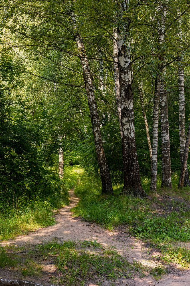 Photograph by Михаил Мак