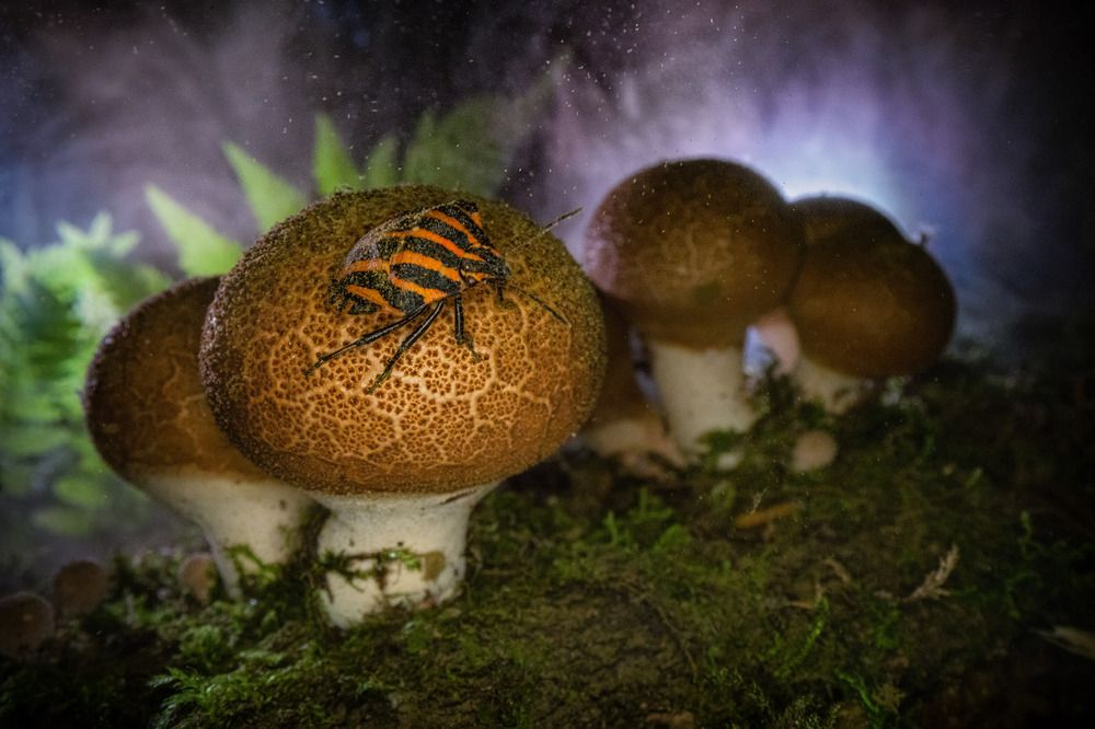 Фотография автора Mashin Rostislav